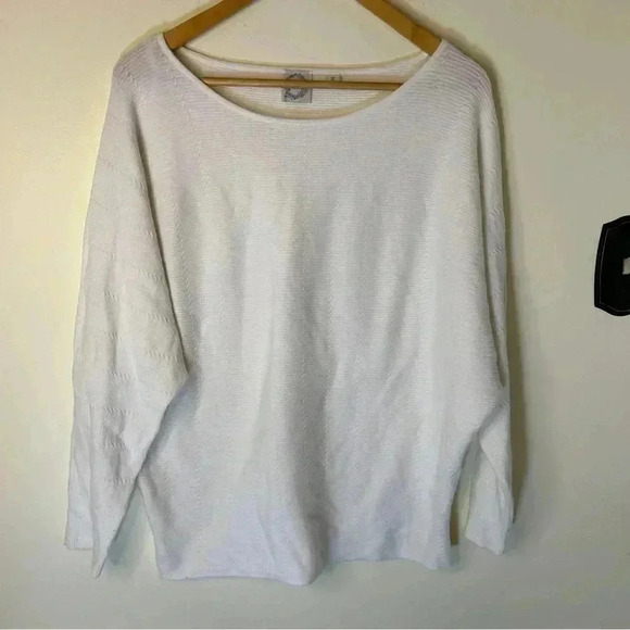 Francesca's Blue Rain White Textured Sweater Size XL - Picture 1 of 6